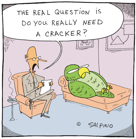 Parrot psychiatrist cartoon saying 'the real questions is do you really need a cracker?'